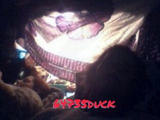 64735duck