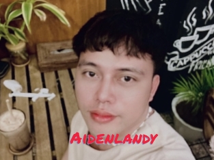 Aidenlandy