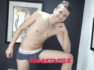 Andretassle