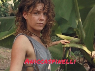 Aniccaspinelli