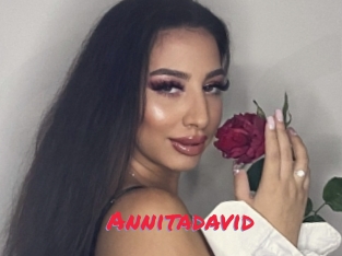 Annitadavid
