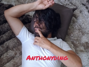 Anthonyding