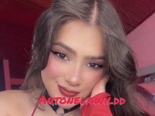 Antonelawildd