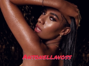 Antonellavoss