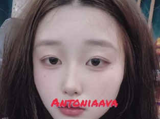 Antoniaava