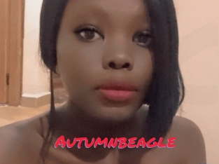 Autumnbeagle