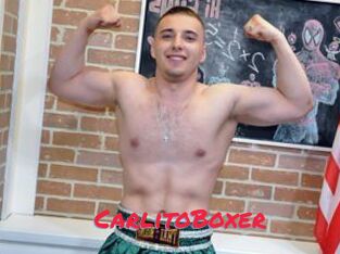 CarlitoBoxer