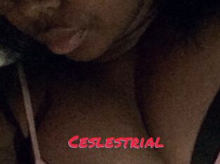 Ceslestrial