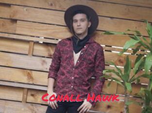 Conall_Hawk