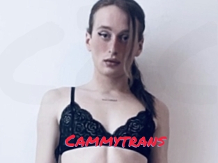Cammytrans