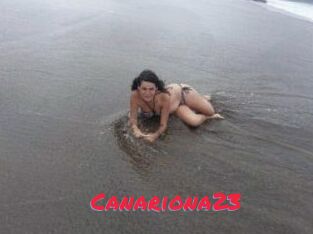 Canariona23