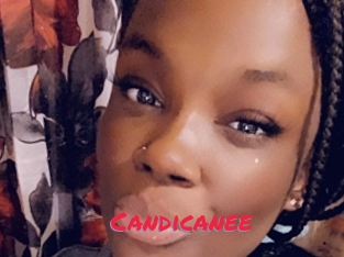 Candicanee