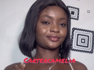 Cartercamelia