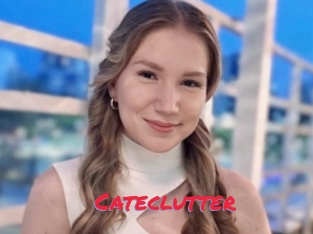 Cateclutter