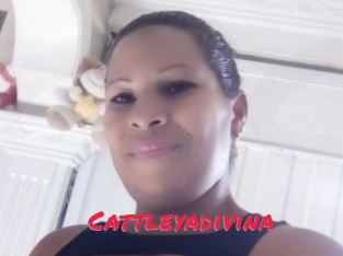 Cattleyadivina