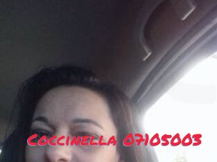 Coccinella-07105003