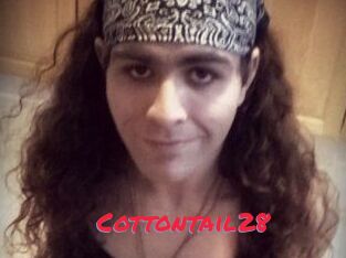 Cottontail28