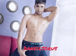 Daneil_torus