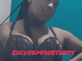 EXCUSEMYWETNESS