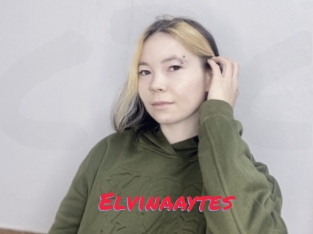 Elvinaaytes