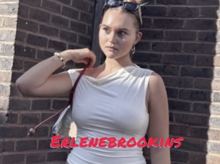 Erlenebrookins