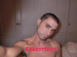 Ernestsoft
