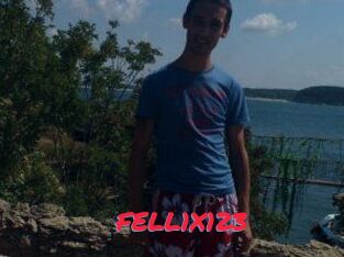 FELL1X123