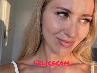 Felicecam
