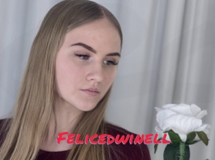 Felicedwinell