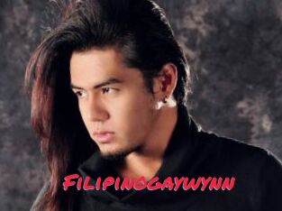 Filipinogaywynn
