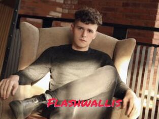 Flashwallis