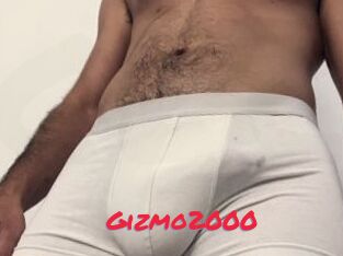 Gizmo2000