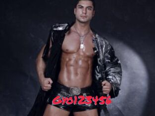 Gyo123456