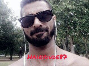 Hairydude87