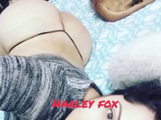 Harley_fox