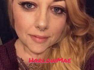 Harlow_Mae