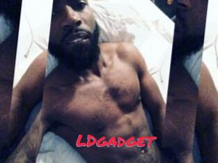 LDgadget