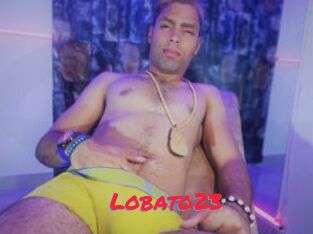 Lobato23