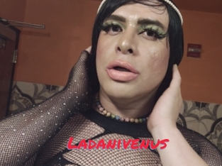 Ladanivenus