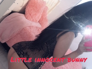 Little_innocent_bunny