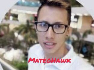 MateoHawk