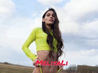 MelisaLi