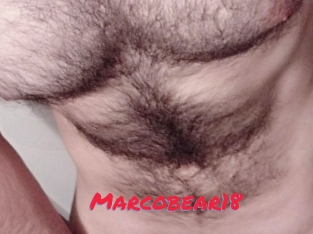 Marcobear18