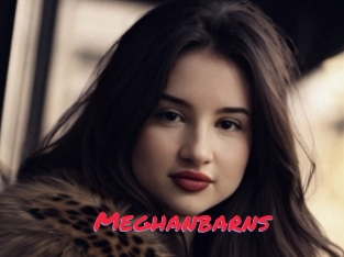 Meghanbarns