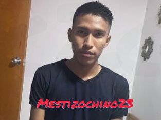 Mestizochino23