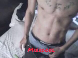Mierdoel