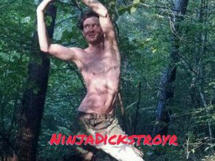 NinjaDickstroyr