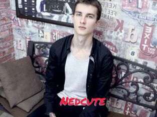 Nedcute