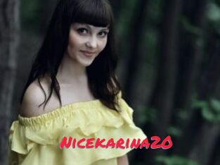 Nicekarina20