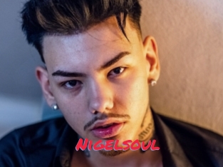 Nigelsoul
